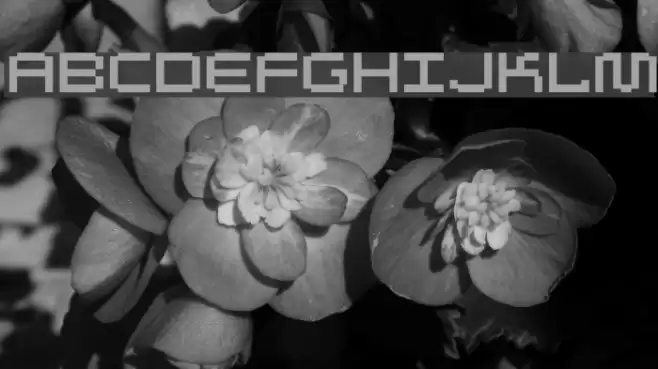 Autriche Font examples