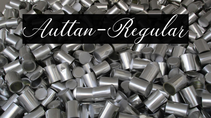 Auttan-Regular Example 1