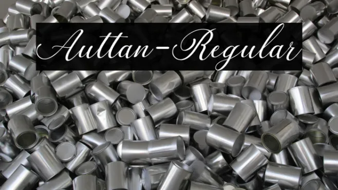 Auttan-Regular Example 1