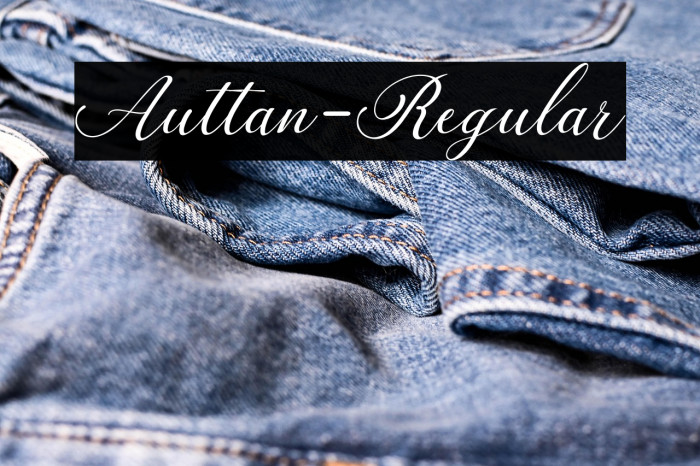 Auttan-Regular Example 2