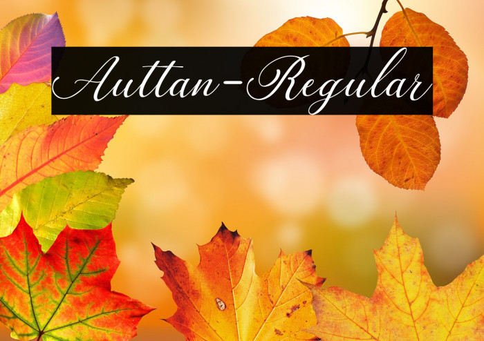 Auttan-Regular Example 3