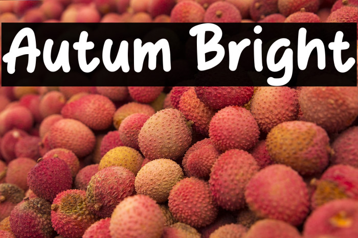 Autum Bright Example 1