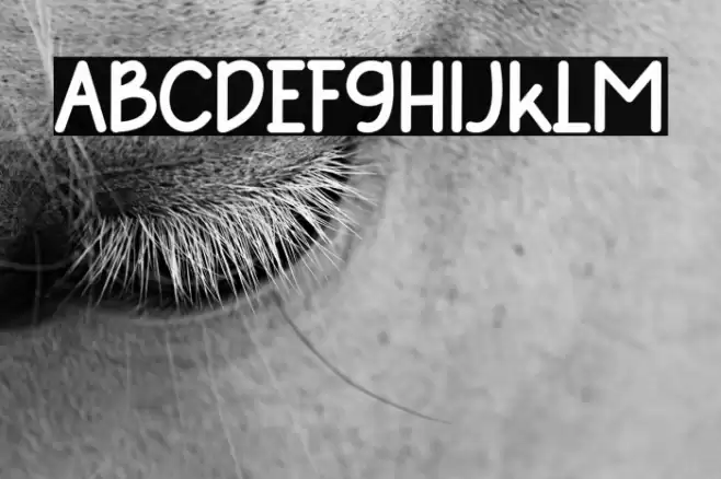 Autum Farmhouse Schriftart examples