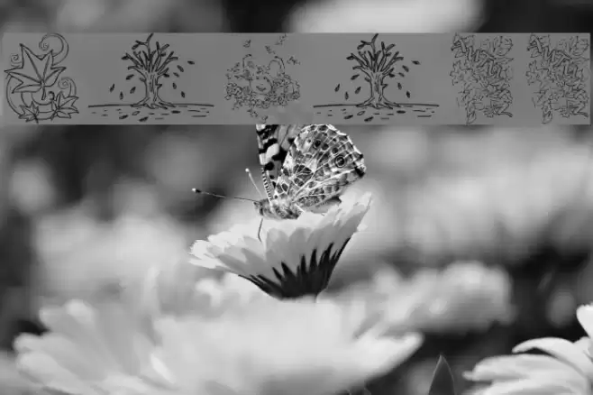 Autumm Font examples