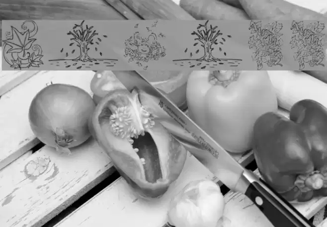 Autumm Font examples