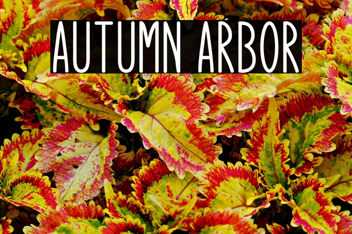 Autumn Arbor Example 1