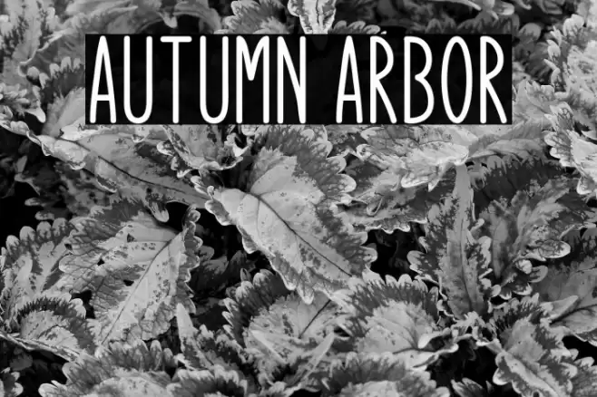 Autumn Arbor Font examples