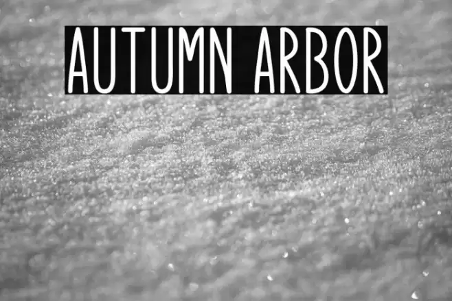 Autumn Arbor Font examples