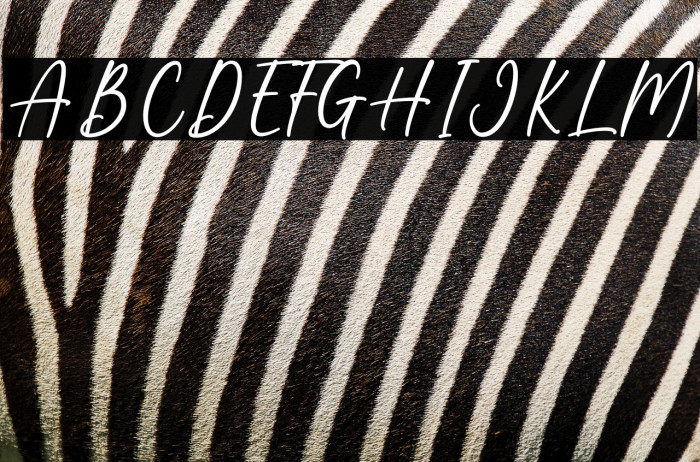 Autumn Beautiful Example 1