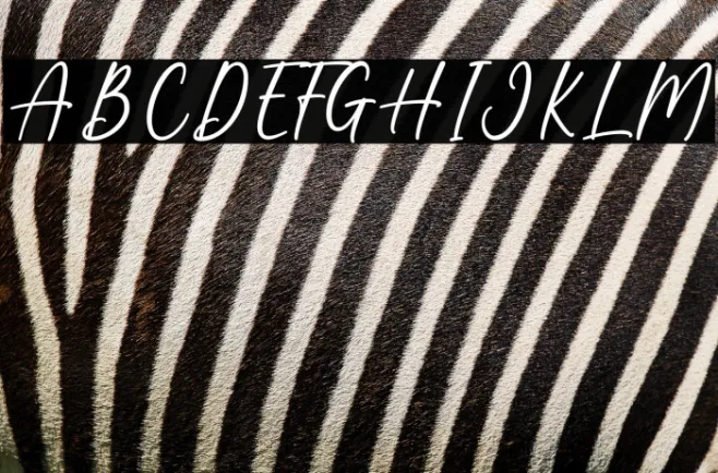 Autumn Beautiful Example 1