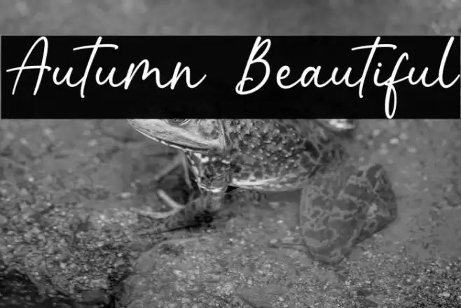 Autumn Beautiful Font examples