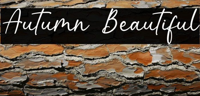 Autumn Beautiful Example 2