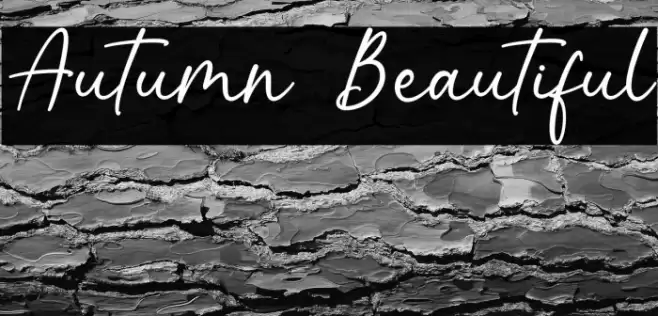 Autumn Beautiful Font examples