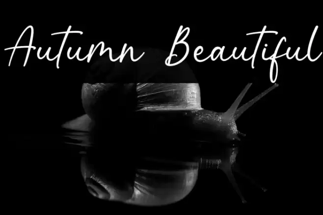 Autumn Beautiful Font examples