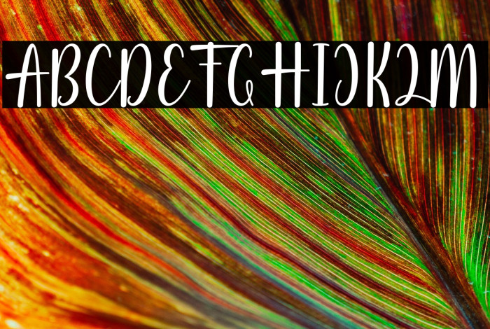 Autumn Beauty Example 1