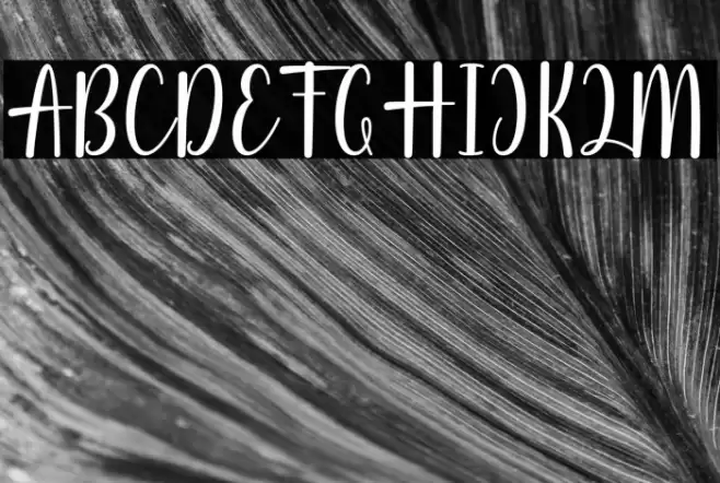 Autumn Beauty Font examples