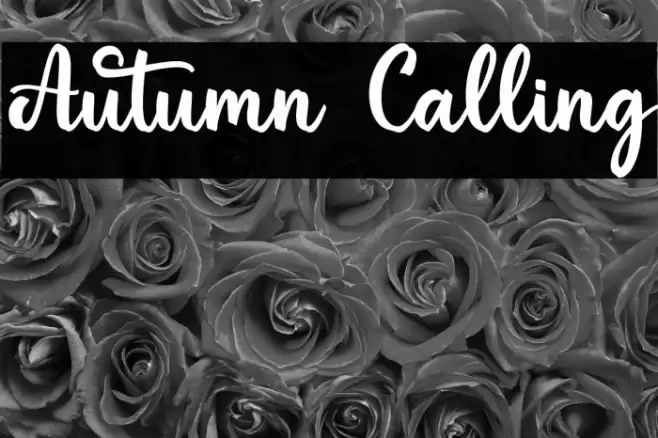 Autumn Calling Font examples