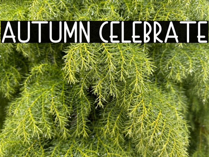 Autumn Celebrate Example 3