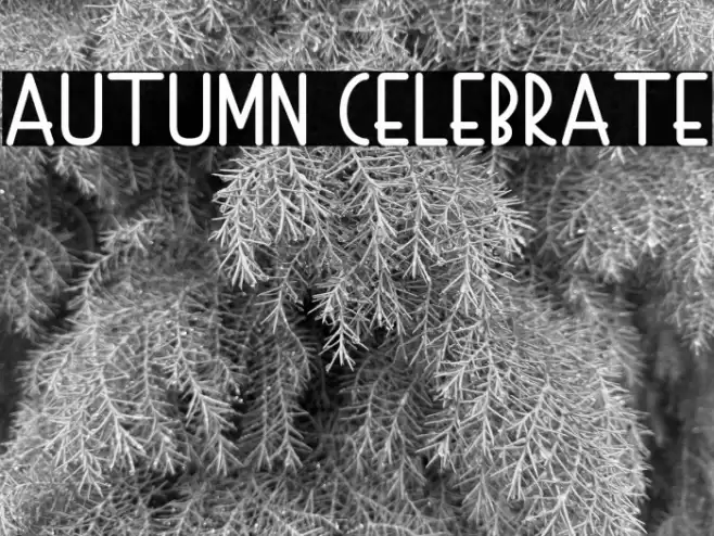 Autumn Celebrate Fuentes examples