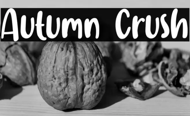 Autumn Crush Font examples