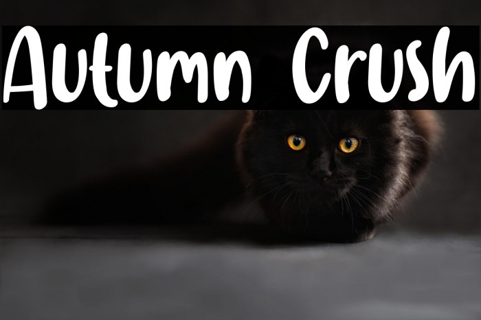 Autumn Crush Example 3