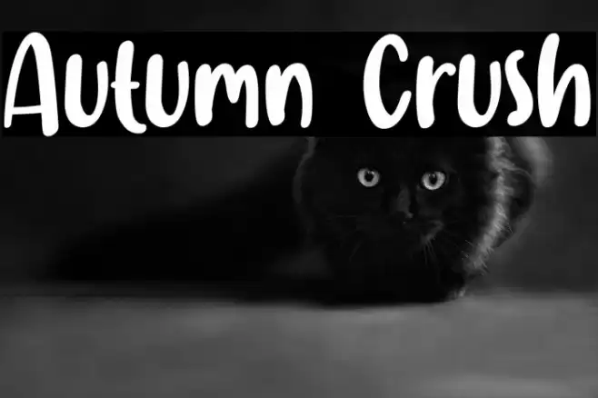 Autumn Crush Font examples