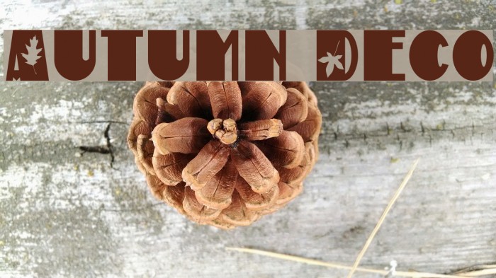 Autumn Deco Font examples