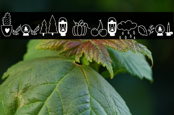 Autumn Dingbats Example 2