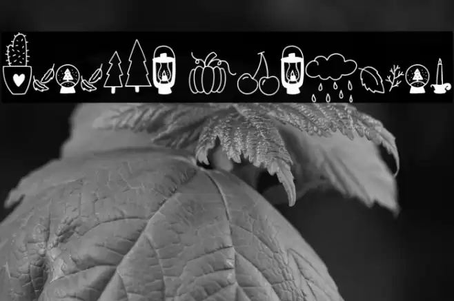 Autumn Dingbats Caratteri examples