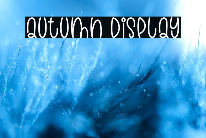 Autumn Display Example 1