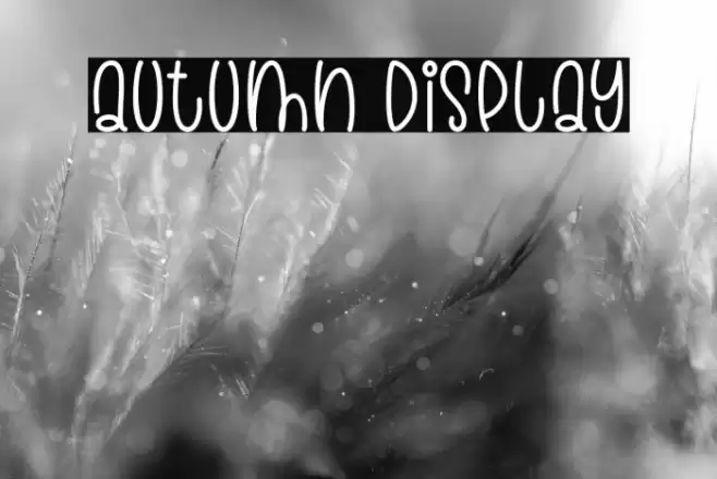 Autumn Display Font examples