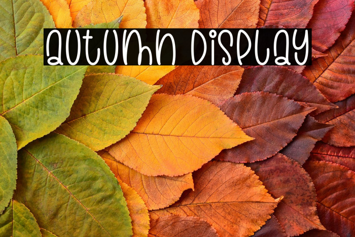 Autumn Display Example 2