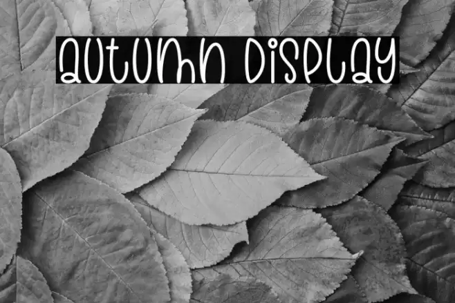 Autumn Display Font examples