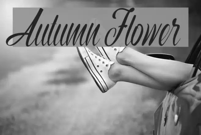 Autumn Flower Font examples
