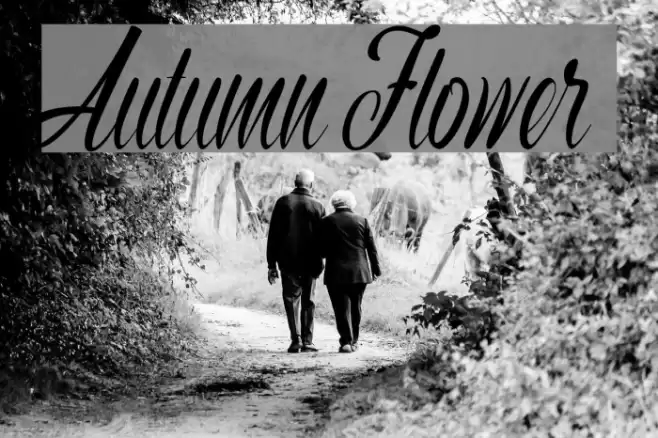 Autumn Flower Font examples