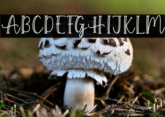 Autumn Garden Example 2