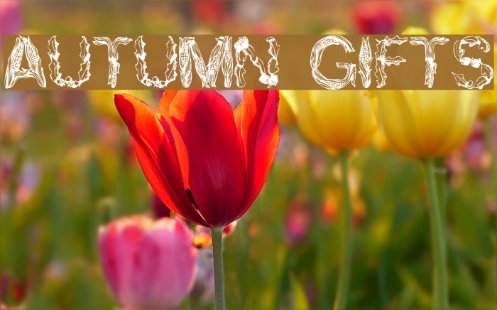 Autumn Gifts Font examples