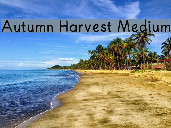 Autumn Harvest Medium Font examples