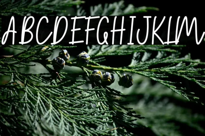 Autumn Holiday Example 3