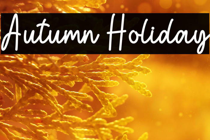 Autumn Holiday Example 3