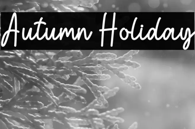 Autumn Holiday Font examples