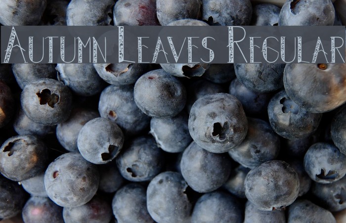 Autumn Leaves Regular Font examples