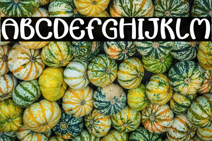 Autumn Lover Example 3