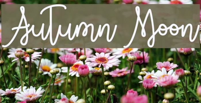 Autumn Moon Font examples