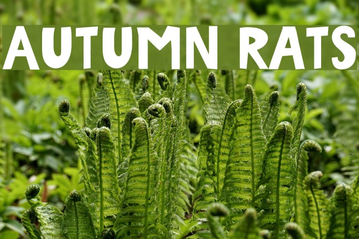 Autumn Rats Шрифта examples