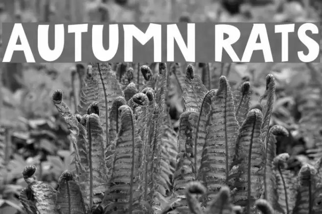 Autumn Rats Font examples