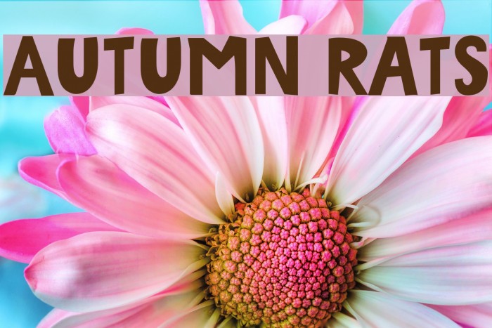 Autumn Rats Шрифта examples