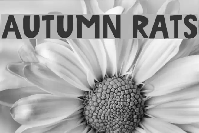 Autumn Rats Font examples