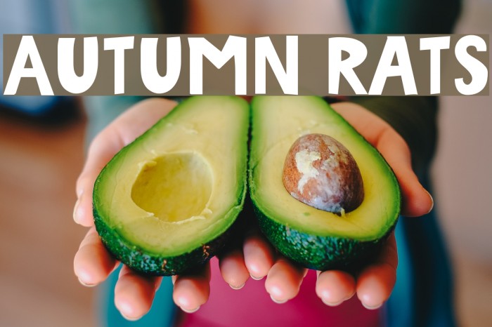 Autumn Rats Шрифта examples