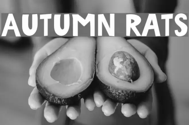 Autumn Rats Font examples